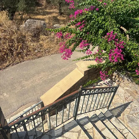 Villa Panόrama Hébergement de vacances Riglia