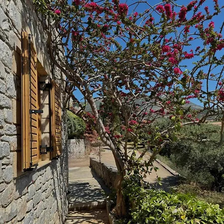 Panόrama Holiday home Riglia